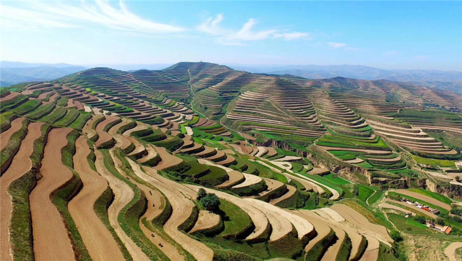 B–Sports必一生物|国家重点研发计划“黄土高原旱作适水改土与产能提升技术模式及应用”项目启动 B–Sports必一生物|国家重点研发计划“黄土高原旱作适水改土与产能提升技术模式及应用”项目启动